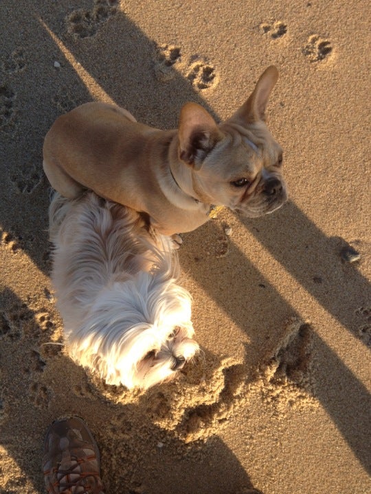 Photo of Herring Cove Beach