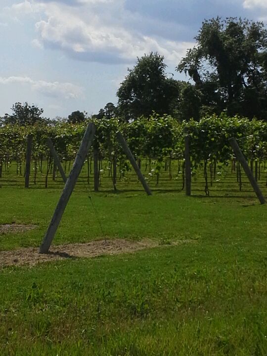 Photo of Rushland Ridge Winery