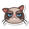 Grumpy Cat®