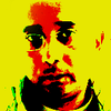 profile picture picture